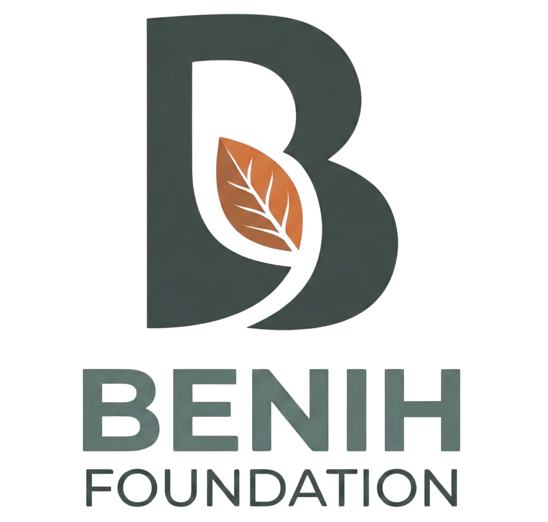 BENIH Foundation Logo